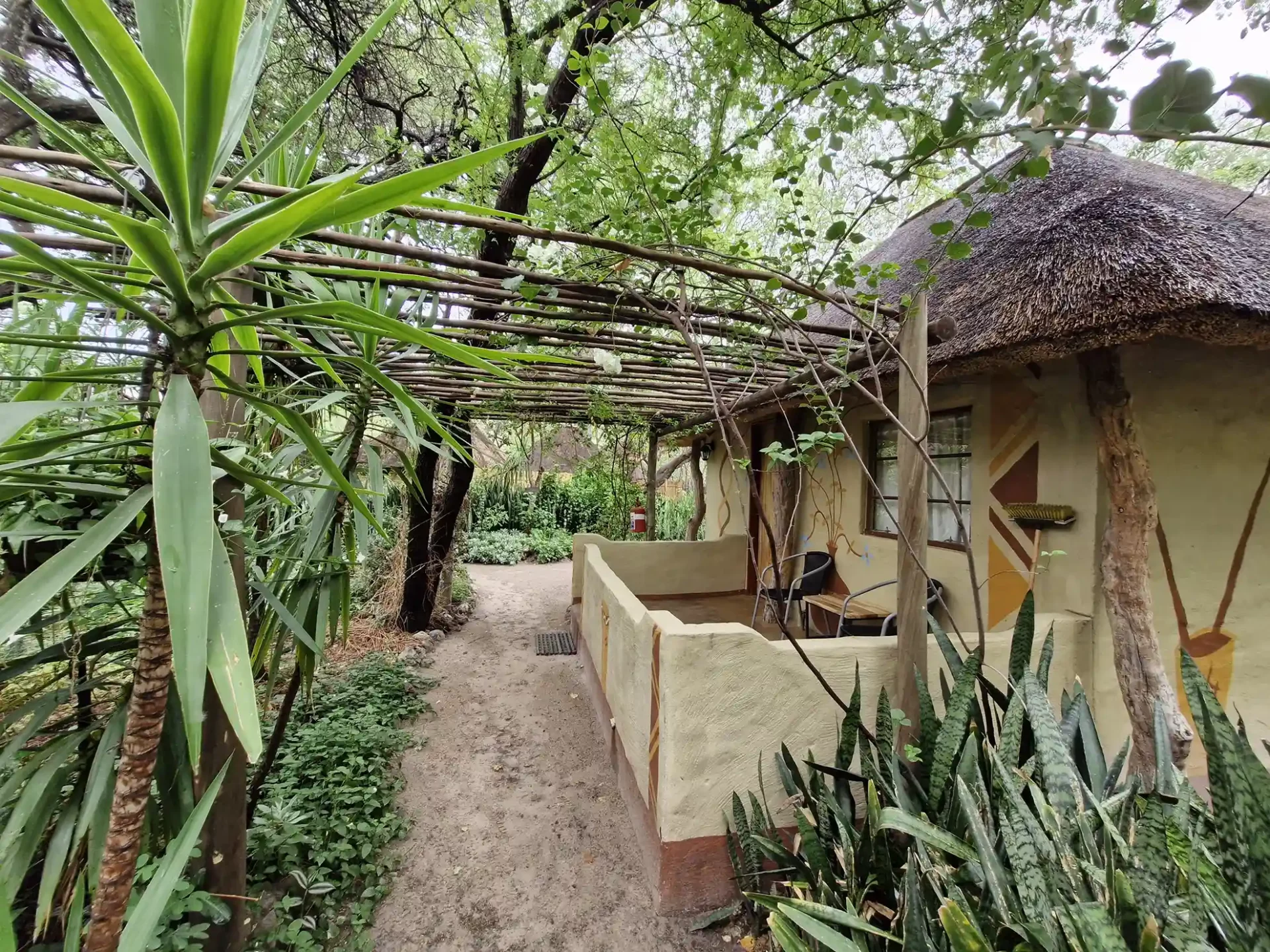 DISC-HERO-20241128_083415