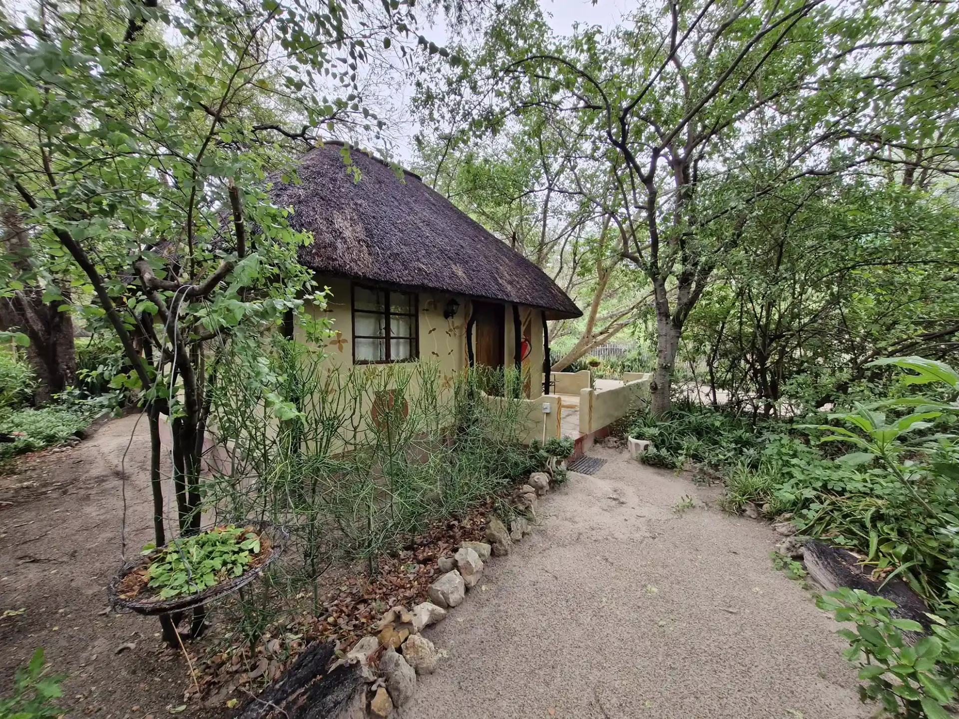 DISC-HERO-20241128_083518