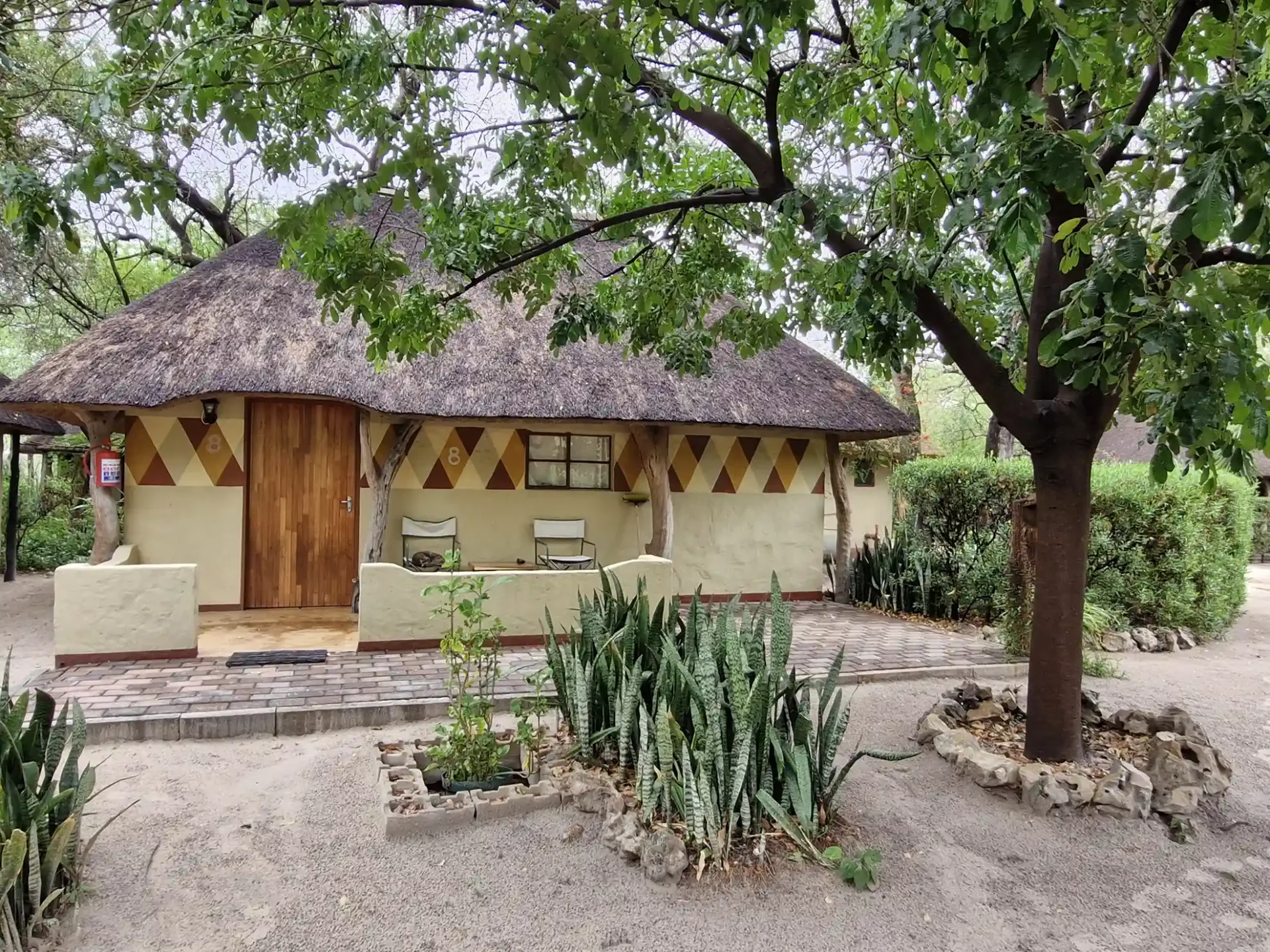 DISC-HERO-20241128_084757